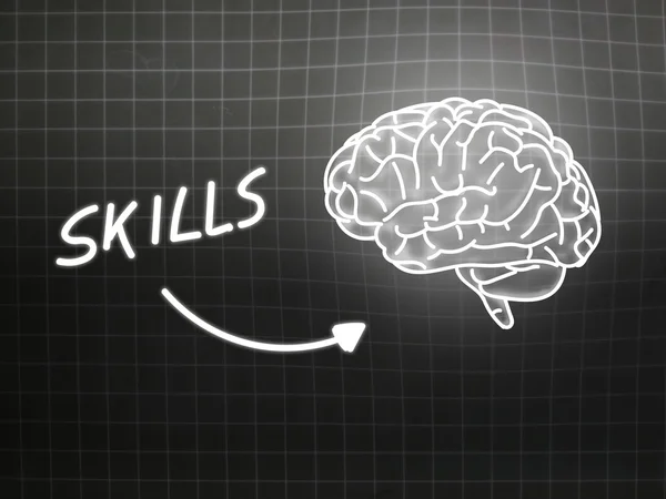 Skills brain background knowledge science blackboard gray — Stock Photo, Image