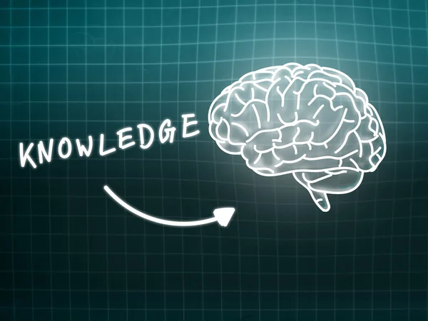 Knowledge brain background knowledge science blackboard turquois — Stock Photo, Image