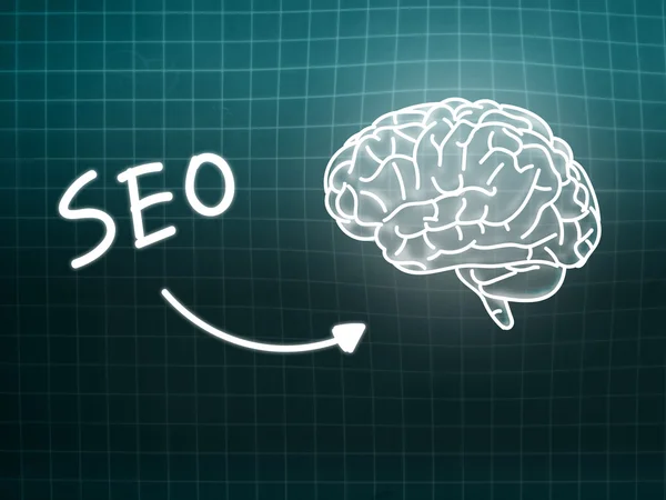 SEO brain background scienza lavagna turchese — Foto Stock