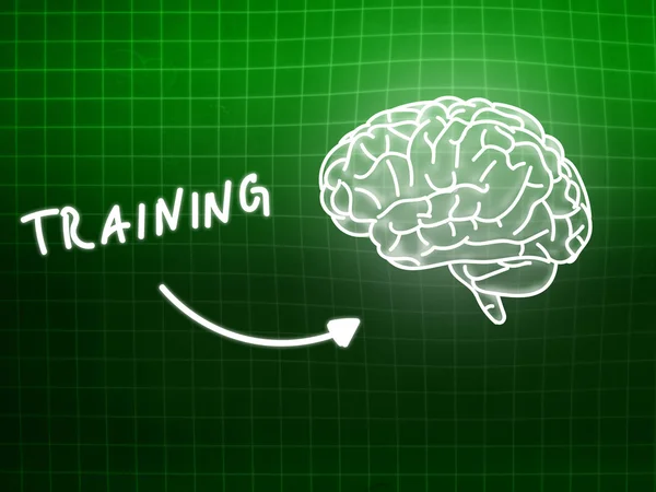 Training brain background knowledge science blackboard green — Stock Photo, Image