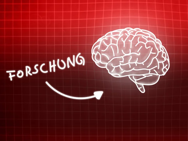 फोर्सचुंग मस्तिष्क पृष्ठभूमि ज्ञान विज्ञान ब्लैकबोर्ड लाल — स्टॉक फ़ोटो, इमेज