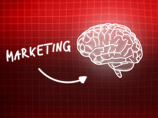Marketing cervello sfondo conoscenza scienza lavagna rosso — Foto Stock