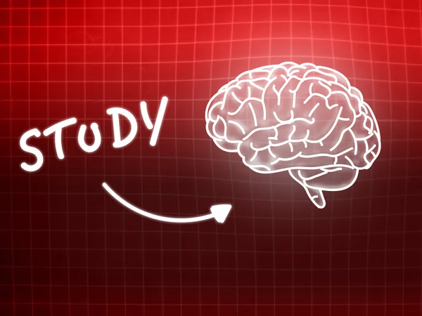 Badania mózgu tło wiedzy nauki tablica czerwony — Zdjęcie stockowe