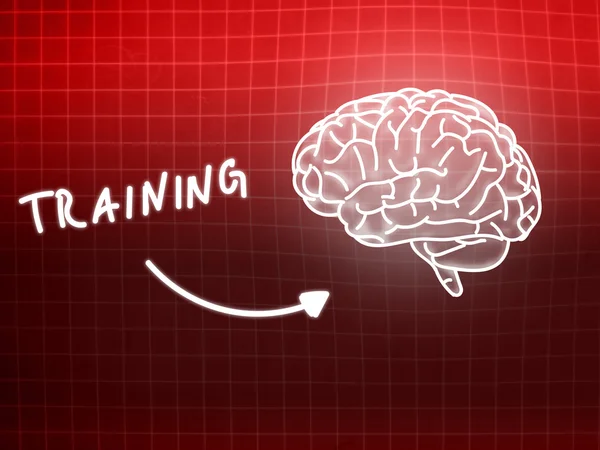 Training brain background knowledge science blackboard red — Stock Photo, Image