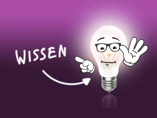 ヴィッセン電球ランプ エネルギー ライト ピンク — ストック写真