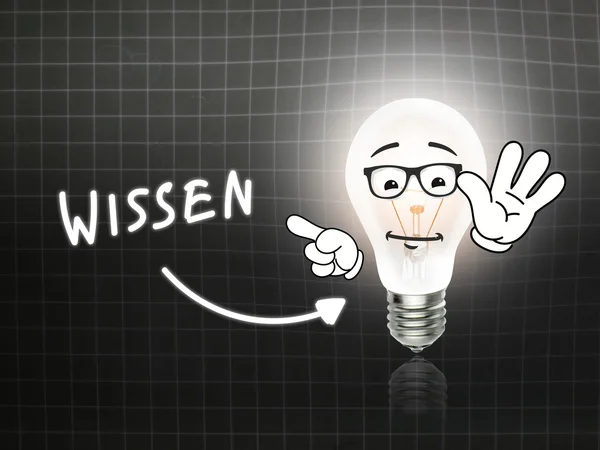 ヴィッセン電球ランプ エネルギー黒板 — ストック写真
