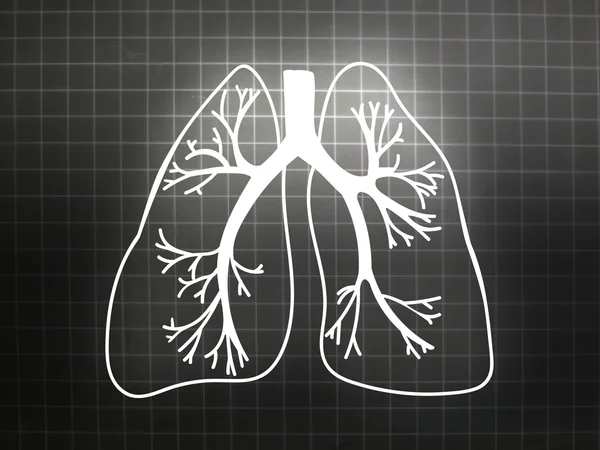 Medicina de Órgão de Biologia Pulmonar Estudo cinza — Fotografia de Stock