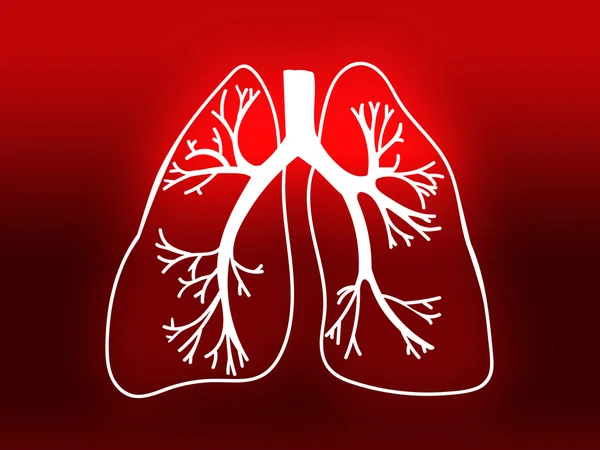 Biología Pulmonar Medicina de Órganos Estudio rojo — Foto de Stock