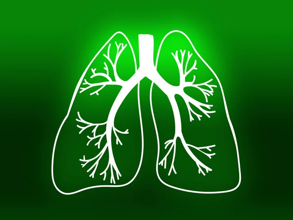 Étude de biologie pulmonaire en médecine des organes vert — Photo