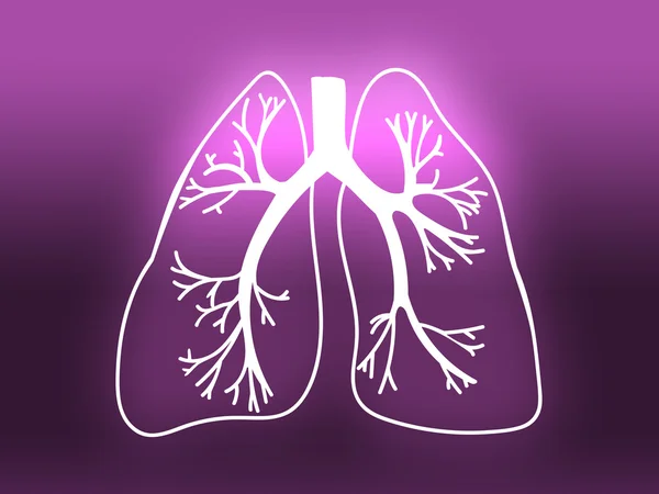 Рожевий біології органу медицини дослідження легень — стокове фото