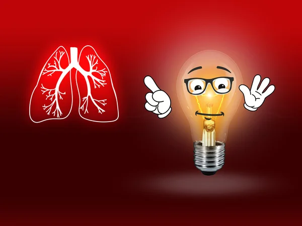 Lung Biology Organ Medicine Study red — Stock Photo, Image