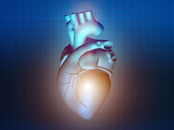 Enfermedad cardíaca 3d anatomía ilustración azul — Foto de Stock