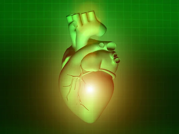 Enfermedad cardíaca 3d anatomía ilustración verde — Foto de Stock