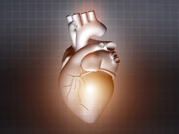 Enfermedad cardíaca 3d anatomía ilustración gris — Foto de Stock