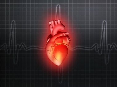 kalp hastalığı 3d anatomi illüstrasyon gri