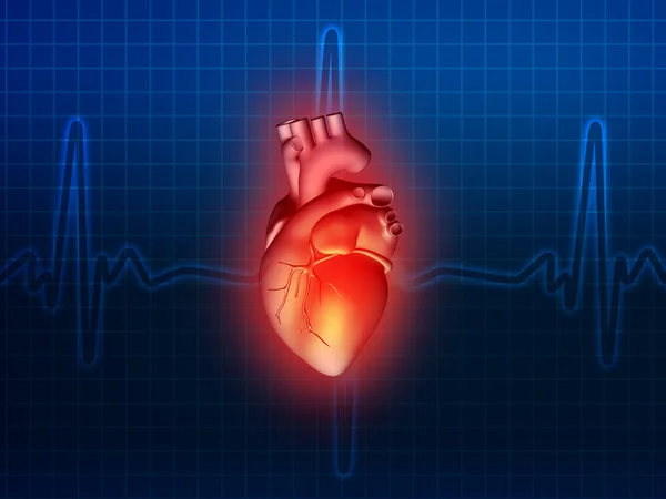 Doença cardíaca 3d anatomia ilustração azul — Fotografia de Stock