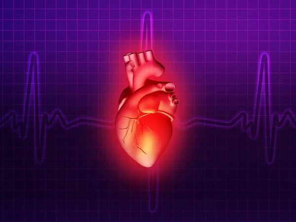 Heart disease 3d anatomy illustration purple pink — Stock Photo, Image