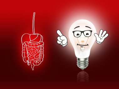 mide bağırsak sindirim acı kırmızı