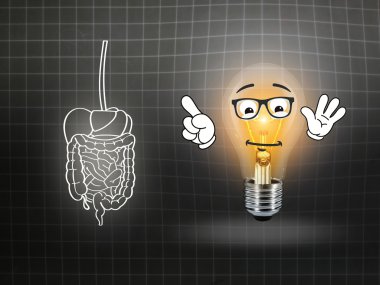 mide bağırsak sindirim ağrı yazı tahtası