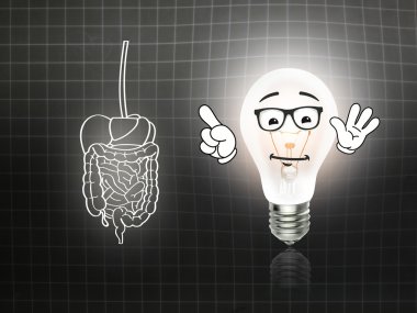 mide bağırsak sindirim ağrı yazı tahtası