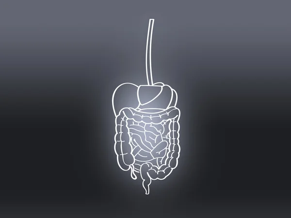 Estômago dor digestiva intestinal cinza — Fotografia de Stock