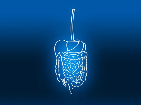 Stomach intestinal digestive pain blue — Stock Photo, Image