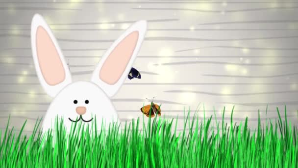 Feliz Pascua - Conejo de Pascua Vídeo Animación — Vídeo de stock