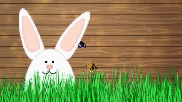 Veselé Velikonoce - Velikonoční zajíček Video animace — Stock video