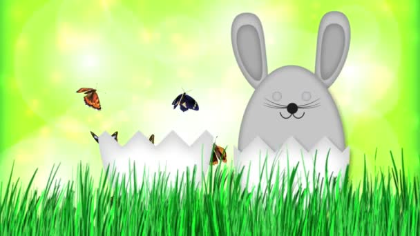 Feliz Pascua - Conejo de Pascua Vídeo Animación — Vídeos de Stock