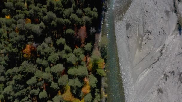 空中俯瞰着森林里的砾石路 无人机在树梢上飞过 大自然 秋天五彩斑斓的森林空中俯瞰着红色和黄色的叶型纹理 — 图库视频影像