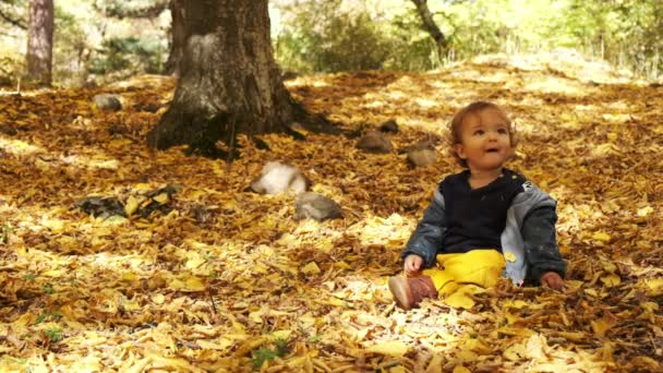 Parktaki Yaprakların Arasında Çimenlerde Oturan Küçük Bir Çocuk Parlak Güneşli — Stok video