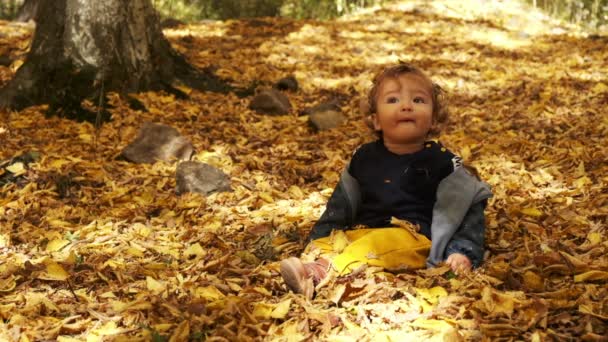 Little baby boy sitting on grass in fallen leaves in park on bright and sunny autumn day looking at yellow leaf in hand and smiling. Happy baby boy laughs outdoors. — Stock Video