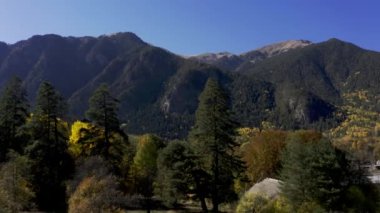 Hava Aracı Manzarası: Çam ağacı ormanı ve kır yolu üzerinde yumuşak ışıkta uçmak. Arka planda sıradağlar var. Doğa, seyahat. 