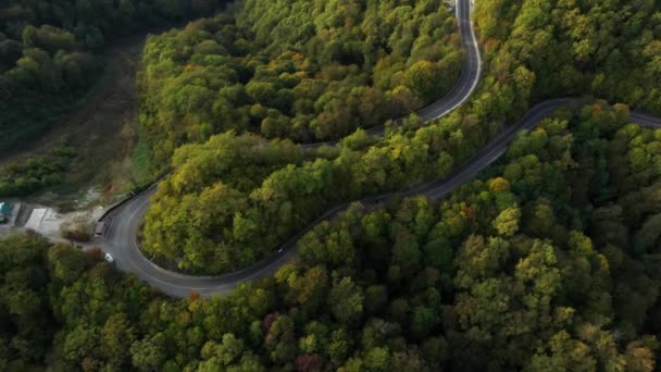 Aerial Filmový Záběr Vypínače Vinoucího Lesnatém Pahorku Létání Přes Svěží — Stock video