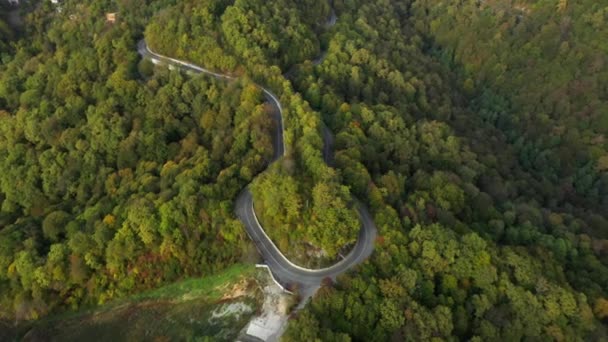 Aerial Filmisk Bild Bakväg Som Slingrar Sig Uppför Skogsklädd Kulle — Stockvideo