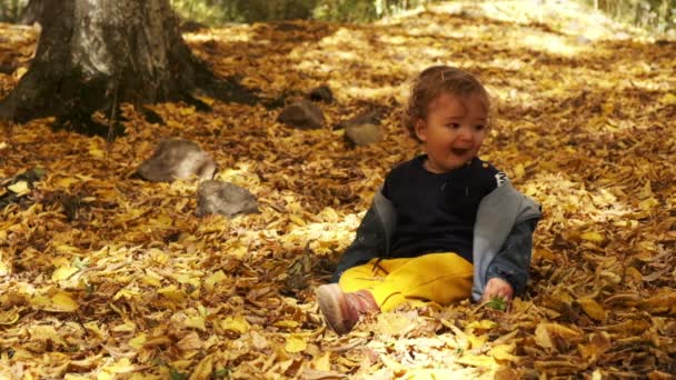 Pequeño niño sentado en la hierba en hojas caídas en el parque en el día de otoño brillante y soleado mirando la hoja amarilla en la mano y sonriendo. Feliz bebé niño ríe al aire libre. — Vídeos de Stock