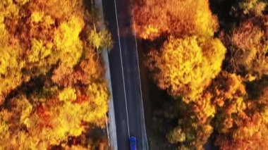 4K 'deki hava manzarası renkli sonbahar ormanlarından geçen kıvrımlı kır yolundan geçen bir araba. Yüksek kaliteli görüntüler