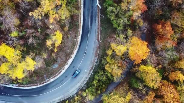 Letecký pohled ve 4K auta jedoucí po křivolaké venkovské silnici přes barevný podzimní les. Kvalitní záběry — Stock video
