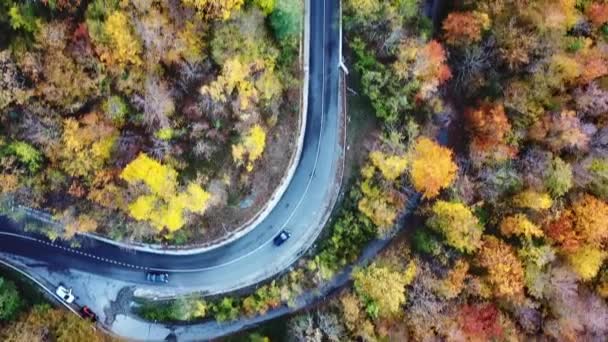 Pandangan udara di 4K sebuah mobil mengemudi di jalan negara melengkung melalui hutan musim gugur berwarna-warni. Cuplikan berkualitas tinggi — Stok Video