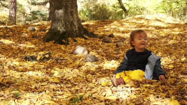 Parktaki yaprakların arasında çimenlerde oturan küçük bir çocuk. Parlak ve güneşli bir sonbahar gününde elinde sarı yaprağa bakıyor ve gülümsüyor. Mutlu oğlan dışarıda gülüyor.. — Stok video