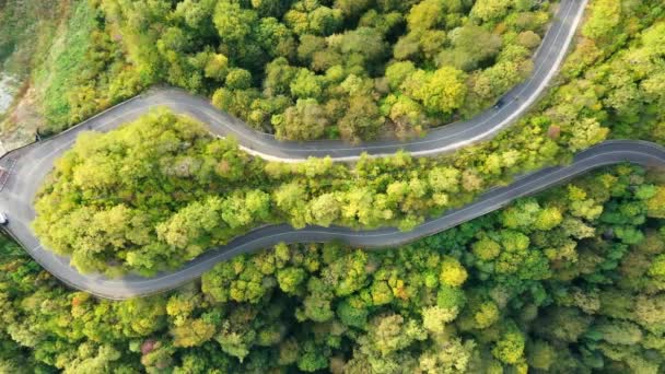 Winding road in the mountains. Autumn forest. Transport. Asphalt road. — Stock Video