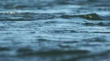 Mavi su dalgaları yüzeyi, fotokopi alanı olan güzel bir arka plan. Temiz içme suyu, renkli bir video. Çevresel sorunlar, iklim değişikliği, kuraklık, içme suyu eksikliği.