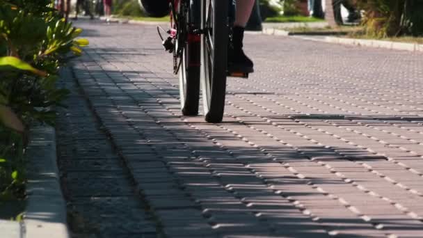 Primer plano. Bicicletas o turistas montan bicicletas en un carril bici en una ciudad costera cerca del océano o el mar. Fondo con las piernas borrosas de la gente corriendo copiar el espacio. Maratón, una multitud de gente corriendo — Vídeos de Stock