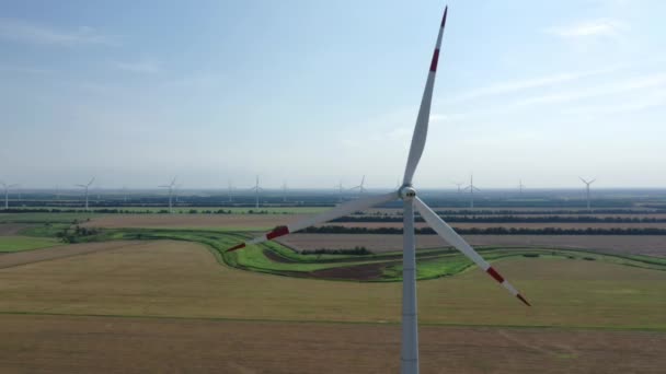 Producir electricidad. Turbinas eólicas en pie sobre campos florecientes. De cerca. Vista aérea superior, moviéndose hacia arriba. turbina eólica es un dispositivo que convierte la energía cinética de los vientos en energía eléctrica. — Vídeos de Stock