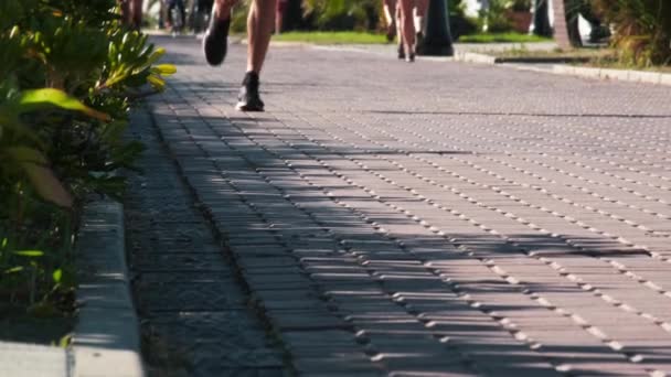 Antecedentes com pessoas em execução desfocadas copiar espaço. Maratona, uma multidão a correr. Movimento Lento. Desfocado. Desfocado. corredores pernas — Vídeo de Stock