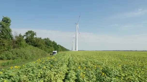 Turbine eoliche che producono elettricità. Mulino a vento Tecnologia eolica Veduta aerea drone sulla produzione di energia. turbine eoliche in piedi su campi in fiore. campo verde. Da vicino.. — Video Stock