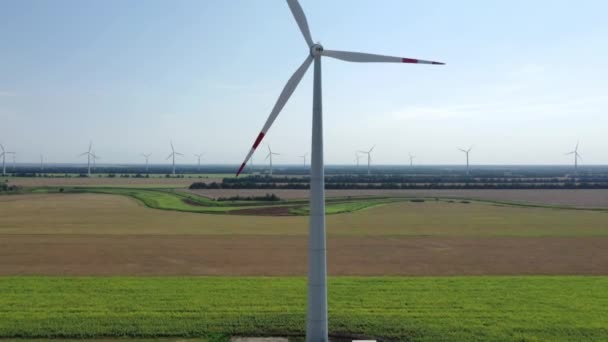 Turbine eoliche che producono elettricità. Mulino a vento Tecnologia eolica Veduta aerea drone sulla produzione di energia. turbine eoliche in piedi su un campo verde in fiore. Da vicino.. — Video Stock