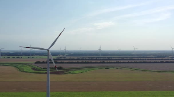 Větrné turbíny vyrábějí elektřinu. Větrný mlýn Větrná elektrárna Letecký výhled. Větrné turbíny stojící na kvetoucích polích. zelené pole. Zavřít. konvertuje kinetickou energii na elektrickou — Stock video