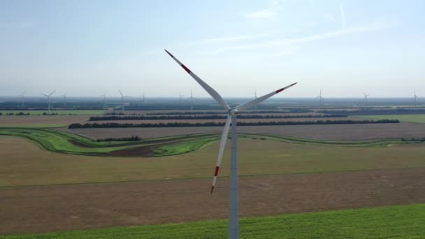 Вітрові турбіни, які виробляють електроенергію. Windmill Wind Power Technology - Повітряний дрон вид на виробництво енергії. Вітрові турбіни, що стоять на квітучих полях. зелене поле. крупним планом . — стокове відео