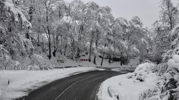 Bella foresta invernale coperta di neve, scivolone dolly girato. Guidare su una strada di campagna diritta in inverno con neve e alberi intorno. Volo con un drone — Video Stock